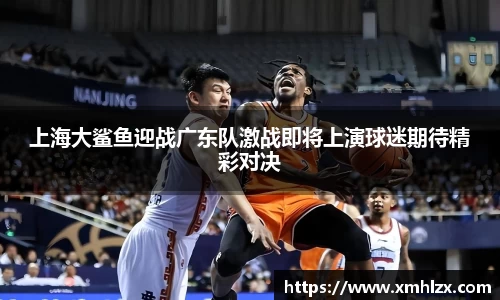 多多28上海大鲨鱼迎战广东队激战即将上演球迷期待精彩对决